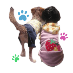 MIZUKI_20200516131405