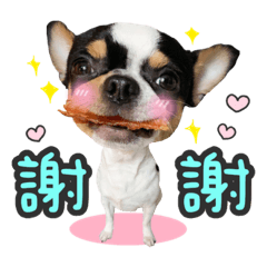 愛吃的饅頭