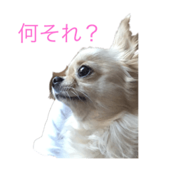 itsuki_20200516122603