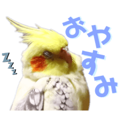 Arisa_20200516132627