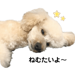 smile_20200516155105