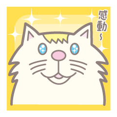Fun life with Tom(Japanese Ver.)