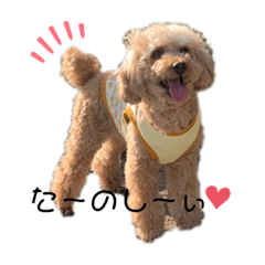 natsumi_20200516135725