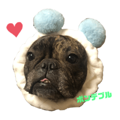 nozomi_20200516141459