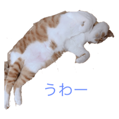 itsuki_20200516194919