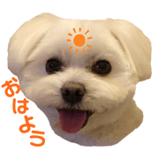 akari_20200516185312