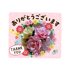 Achi_20200516205317