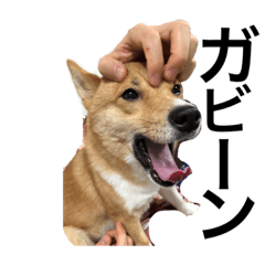 saori_20200516181521