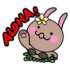 ALOHA! HULA rabbit
