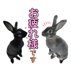 arisa_20200516212415