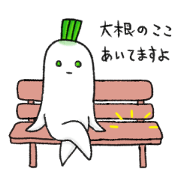 Japanese white radish 3