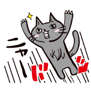 Daily gray cat