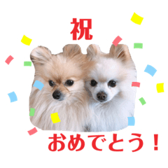 yun_20200516221013