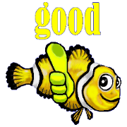 Beautiful fish