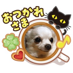 vivi_20200516223141