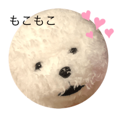 Fuwa Fuwa Fuwa Fuwa dogs Chiro Fuwa