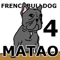 I am MATAO! Iam frenchbulldog!! part4