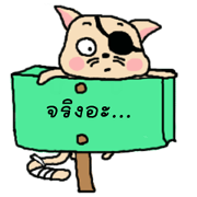 Ask?..(I am a cat)