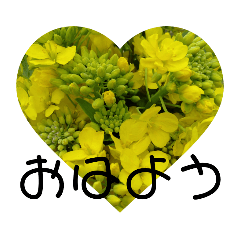 hikari_20200516232813