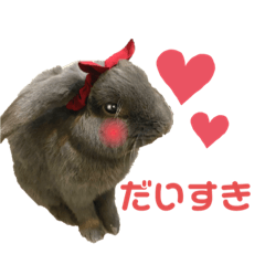 My rabbit stamp1