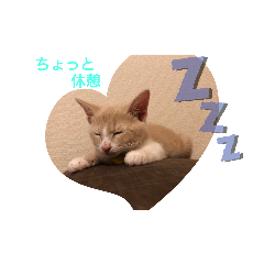 ken_20200516192621