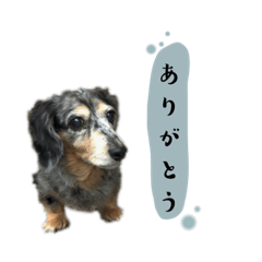 hana_20200516210113