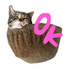 mokamoka_20200516210417