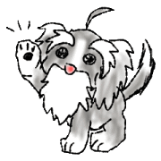 The dog is just like grandpas.(Jpn only)