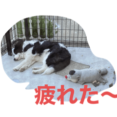 kero_reo
