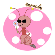 A little ant