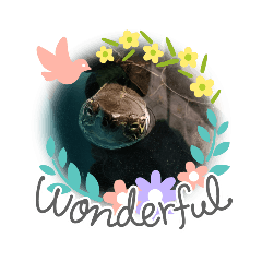 asuka_20200516174349