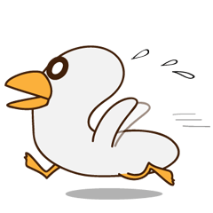 Cute mother duck