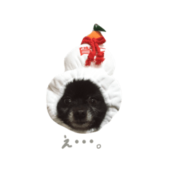 RonCoco2