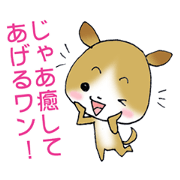 Dog to heal