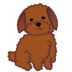 cynical toy poodle