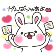 Nagoya rabbit's