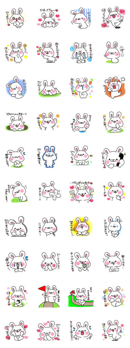 Nagoya rabbit's