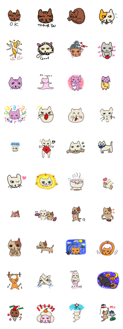 Bad Cat of physiognomy