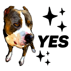 tomohiro nakao_20200516213057