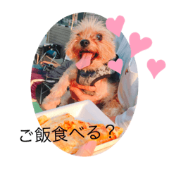 ayanofirststanpfuu123456789ayanofamily22