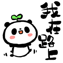 Cute Panda[Taiwan]