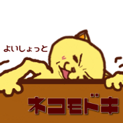 Yellow cat to call happines