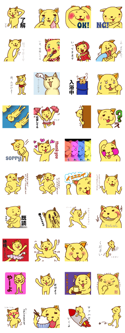 Yellow cat to call happines