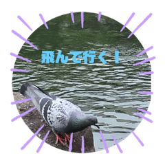 orange_20200516181333