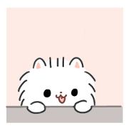 Pomeranian Mochi 6