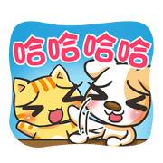 cute dog&cat