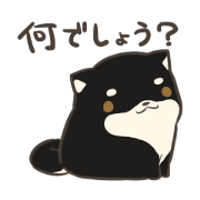 firmly thing Shiba Inu