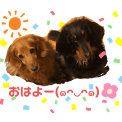 Menchan_20200517081002