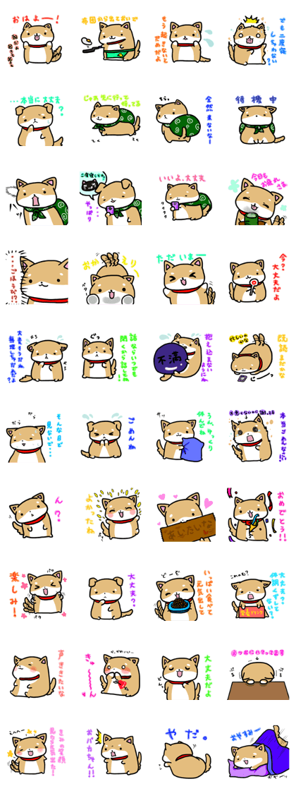 shiitan japsnese midget shiba