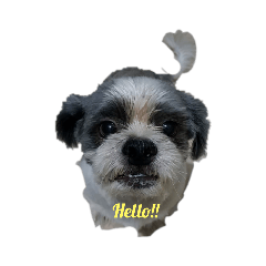 nanana_20200517100659